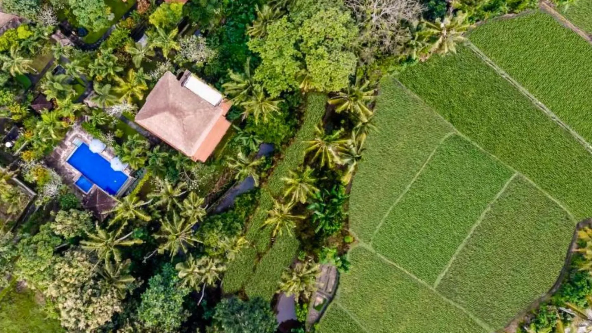 Fullara 1 Bedroom Suite With Rice Field View Zn240 Ubud